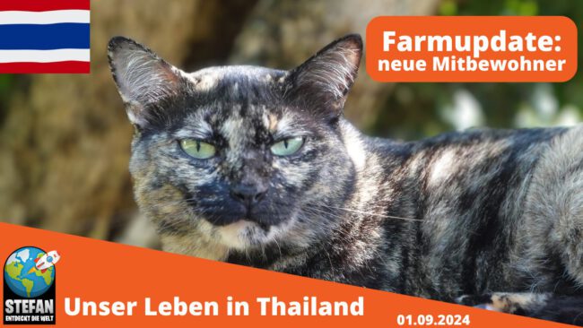 Lizenz der Fahne aus dem Thumpnail: “Thaifahne: Freepik.com".